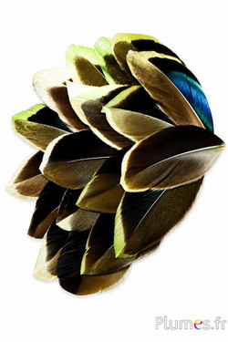 Blütenblätter aus Federn - 6-8 x 3-4 cm - khakigrün-schwarz